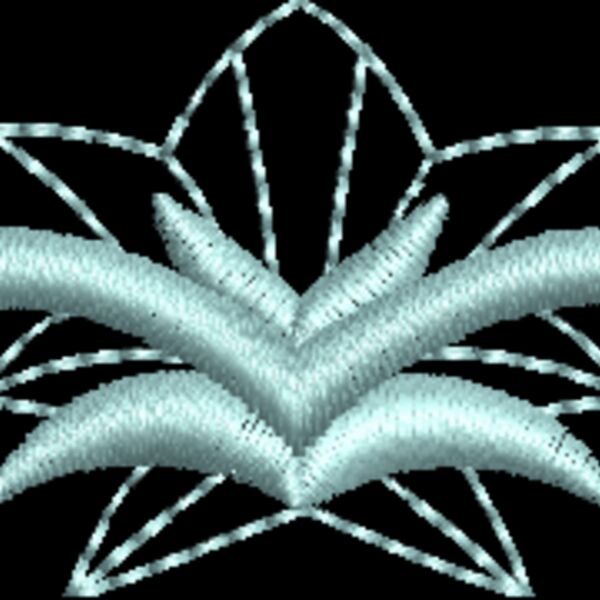 NZ806 Thumbnail
