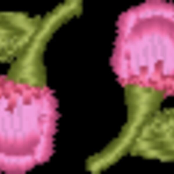 FP629 Thumbnail