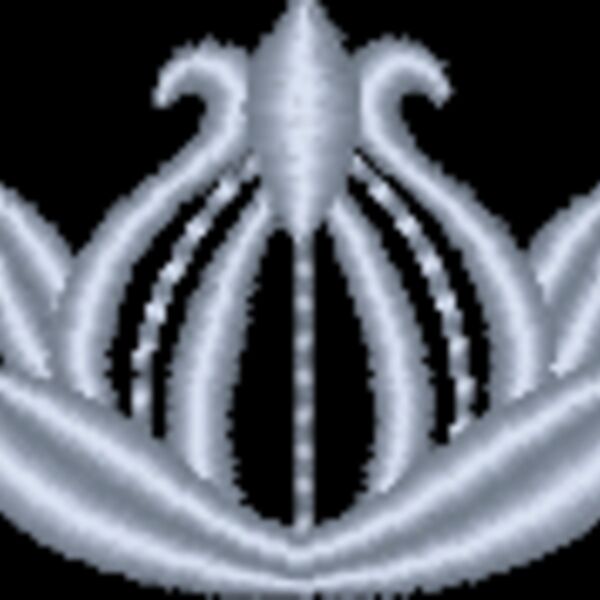 NZ800 Thumbnail