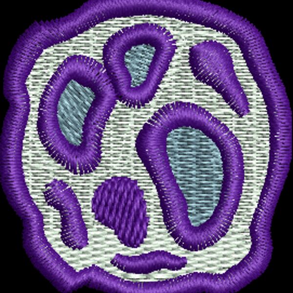 CI958 Thumbnail
